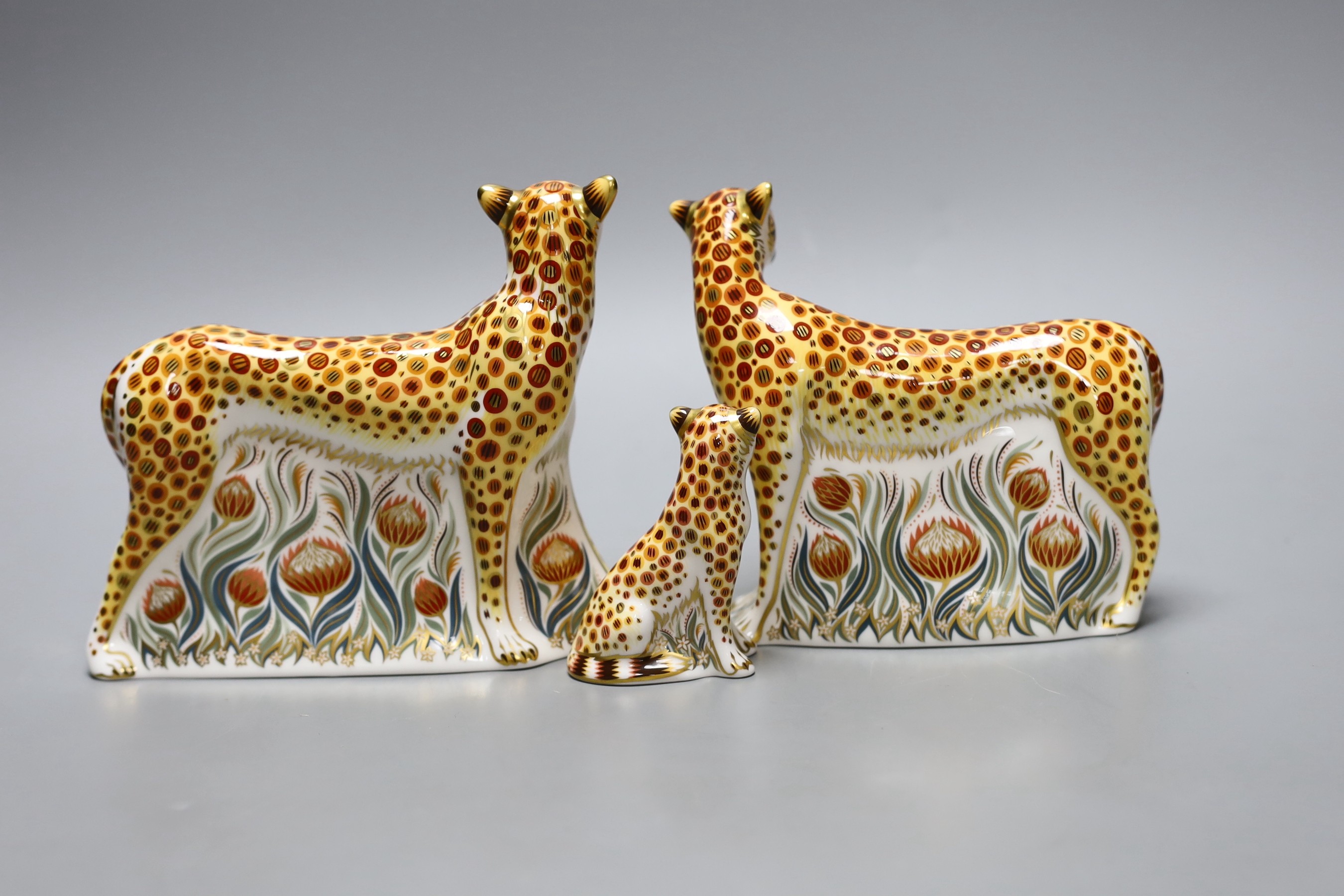 Three Royal Crown Derby paperweights - Cheetah, gold stopper, boxed with certificate, Cheetah Daddy, gold stopper, boxed with certificate and Cheetah Cub, gold stopper, boxed with certificate